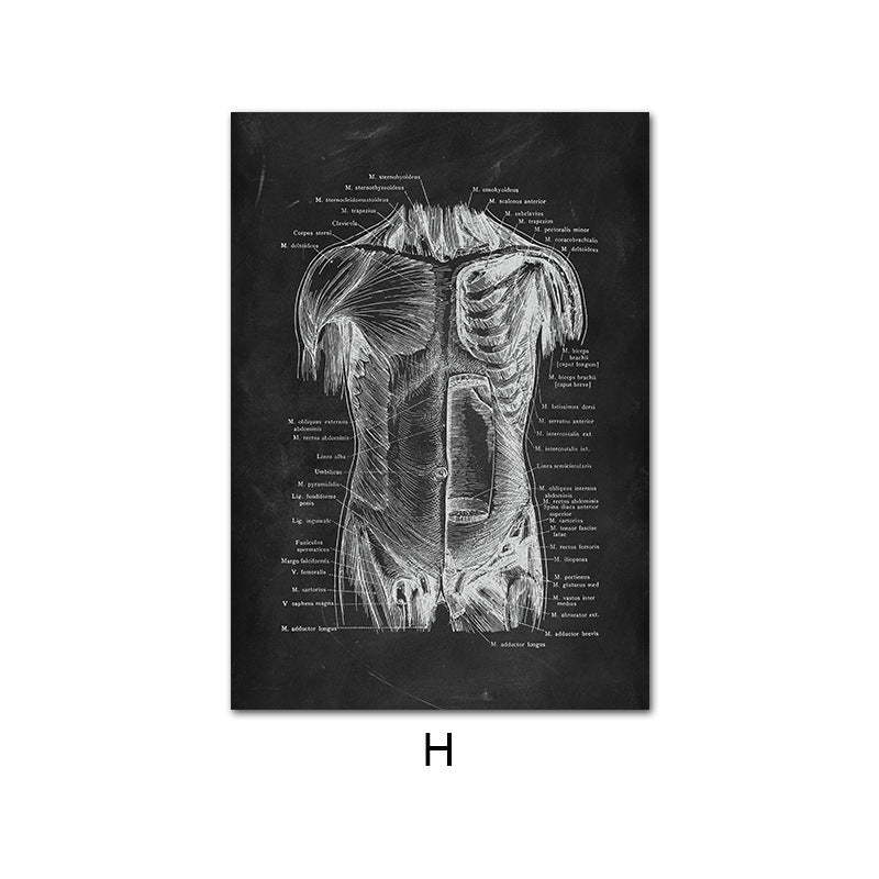 Canvas Painting Of Human Anatomy Skeleton Organ System