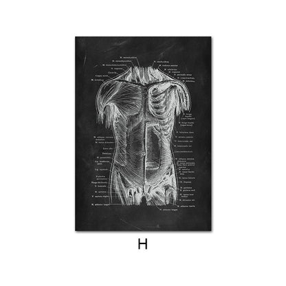 Canvas Painting Of Human Anatomy Skeleton Organ System