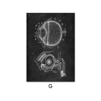 Canvas Painting Of Human Anatomy Skeleton Organ System