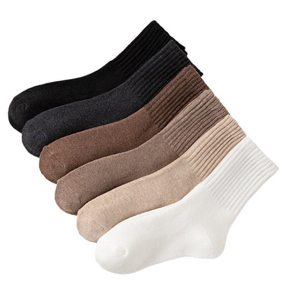 Men's Thickened Fleece-lined Warm Terry Socks