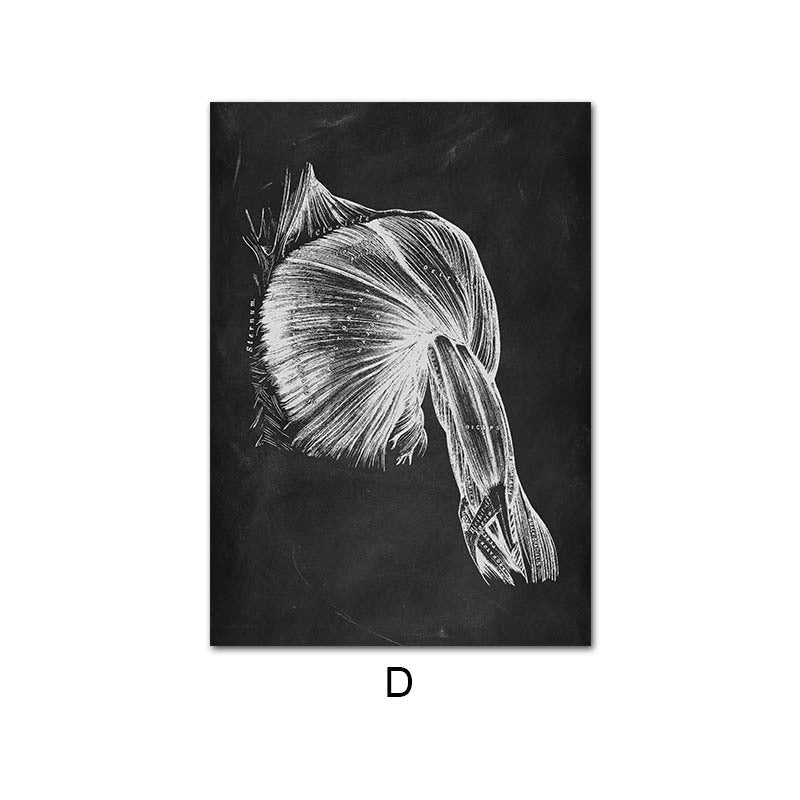 Canvas Painting Of Human Anatomy Skeleton Organ System